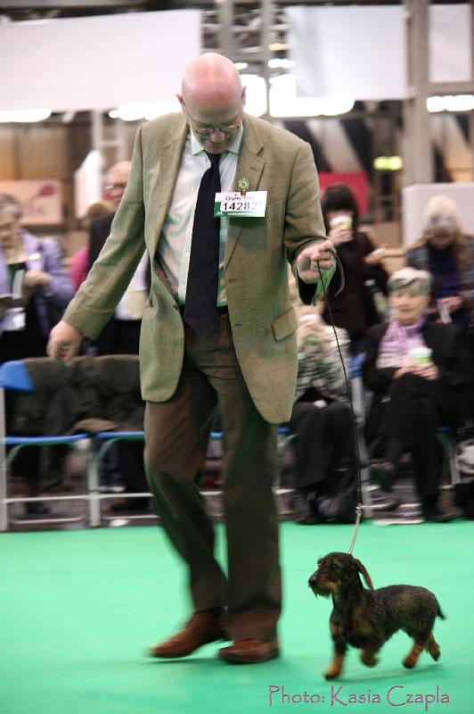 Crufts2011_2 1148.jpg